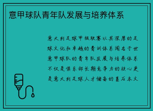 意甲球队青年队发展与培养体系